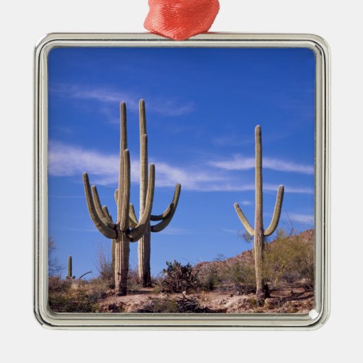 Meervoudige gewapende reuzencactus van Saguaro, Sa Metalen Ornament (Voorkant)