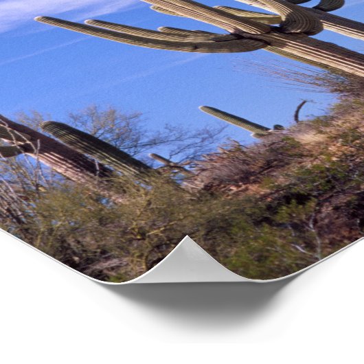 Meervoudige gewapende reuzencactus van Saguaro, Sa Poster (Hoek)