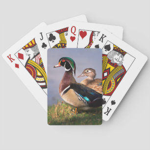 Meerzijde, Houten Eend Pokerkaarten