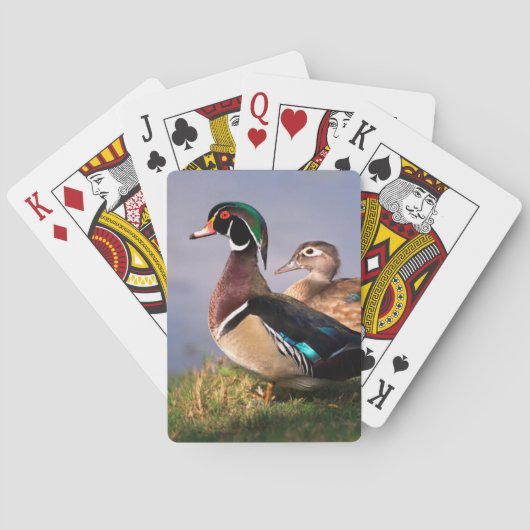 Meerzijde, Houten Eend Pokerkaarten (Achterkant)
