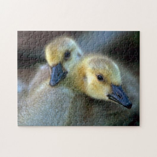 Meerzijde Legpuzzel (Horizontaal)