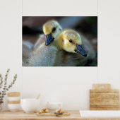 Meerzijde Poster (Keuken)