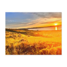 Meerzijdeveld