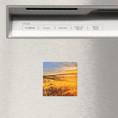 Meerzijdeveld Magneet (Insitu (Vaatwasser))