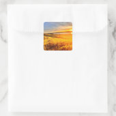 Meerzijdeveld Vierkante Sticker (Tas)