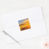 Meerzijdeveld Vierkante Sticker (Envelop)