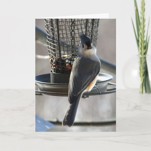 Mees Kaart (Voorkant)