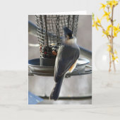 Mees Kaart (Gele Bloem)