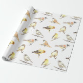 Mees vogels patroon cadeaupapier (Uitgerold)