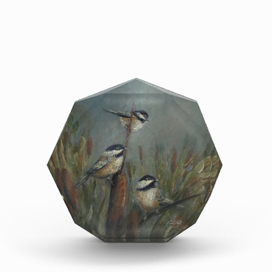 Meesje Achthoekig Fotoblokken (Voorkant)