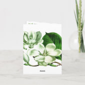 Meesjes en Magnolia Dankkaartjes Bedankkaart (Achterkant)