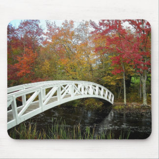 Meest gefotografeerde spot muismat