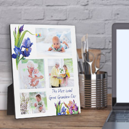 Meest Geliefde Opoe 4 Foto Lente Bloem Fotoplaat