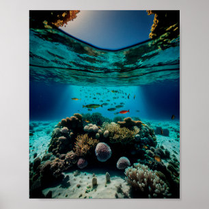 Meest mooi koraalrif - tropisch koraalrif poster