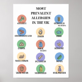 Meest Voorkomende Allergieën In Het VK Poster