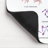 Meest voorkomende bacteriën die humaan Mousepad in Muismat (Hoek)
