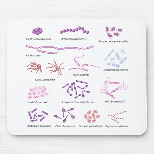 Meest voorkomende bacteriën die humaan Mousepad in Muismat (Voorkant)