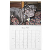 Meestal Bo Kalender (Mar 2027)