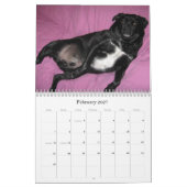 Meestal Bo Kalender (Feb 2027)