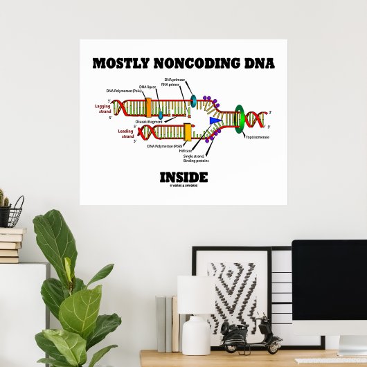 Meestal Noncoding DNA Inside (DNA-replicatie) Poster (Thuiskantoor)