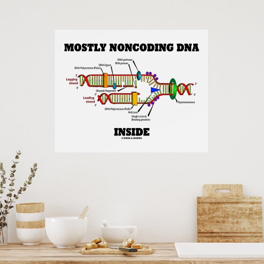 Meestal Noncoding DNA Inside (DNA-replicatie) Poster (Keuken)