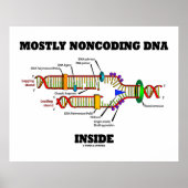 Meestal Noncoding DNA Inside (DNA-replicatie) Poster (Voorkant)
