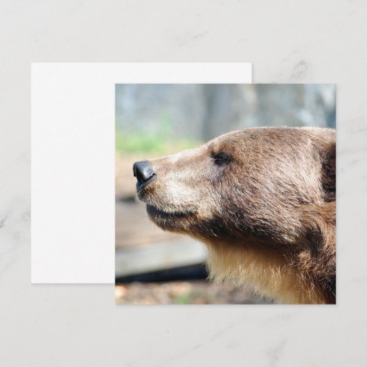 Meester Bruin (Voorkant / Achterkant)