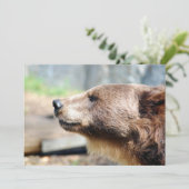 Meester Bruin (Staand voorkant)