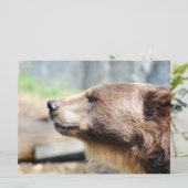 Meester Bruin (Staand voorkant)