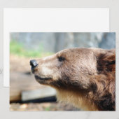 Meester Bruin (Voorkant / Achterkant)