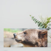 Meester Bruin (Staand voorkant)