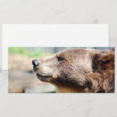 Meester Bruin (Voorkant / Achterkant)