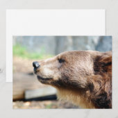 Meester Bruin (Voorkant / Achterkant)