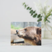 Meester Bruin (Staand voorkant)