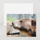 Meester Bruin (Voorkant / Achterkant)