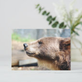 Meester Bruin (Staand voorkant)