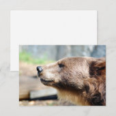 Meester Bruin (Voorkant / Achterkant)