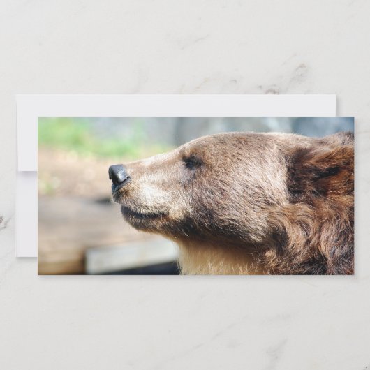 Meester Bruin (Voorkant)