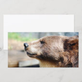 Meester Bruin (Voorkant / Achterkant)