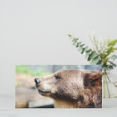Meester Bruin (Staand voorkant)