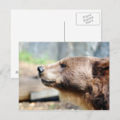 Meester Bruin Briefkaart (Voorkant / Achterkant)