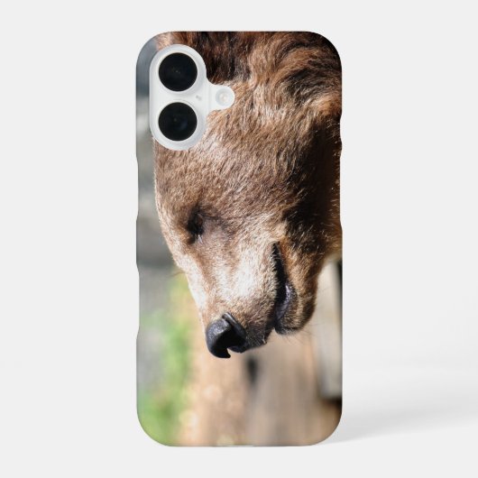 Meester Bruin... iPhone 16 Hoesje (Achterkant)