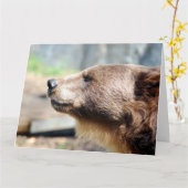 Meester Bruin Kaart (Gele Bloem)