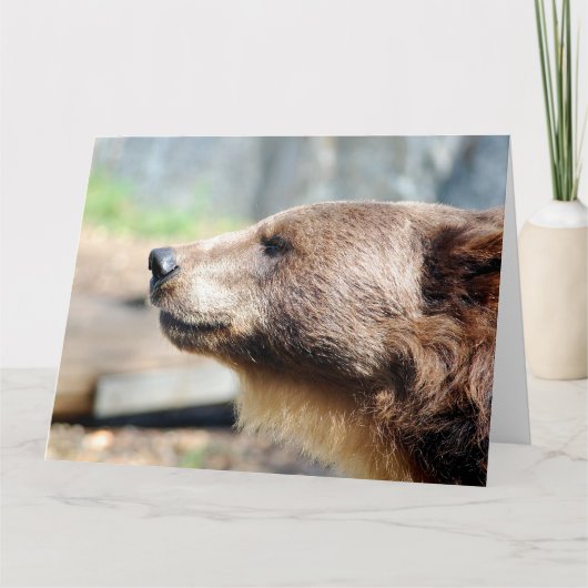 Meester Bruin Kaart (Voorkant)