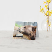 Meester Bruin Kaart (Gele Bloem)