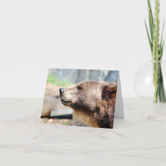 Meester Bruin Kaart (Voorkant)