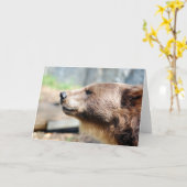 Meester Bruin Kaart (Gele Bloem)