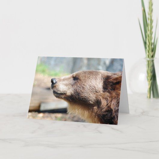 Meester Bruin Kaart (Voorkant)