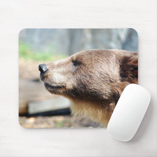 Meester Bruin Muismat (Met muis)
