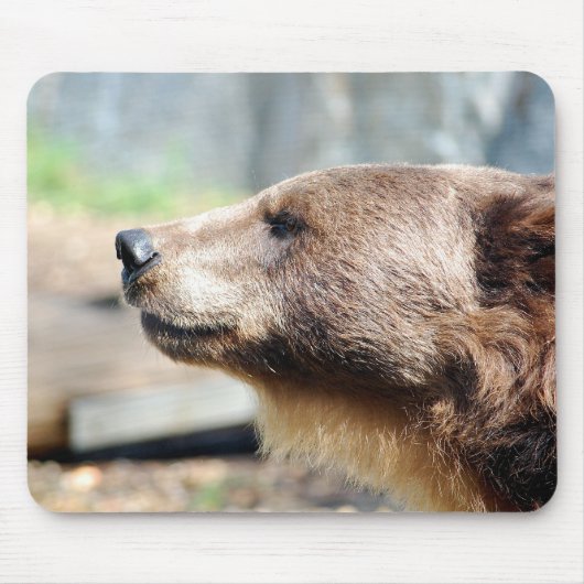 Meester Bruin Muismat (Voorkant)
